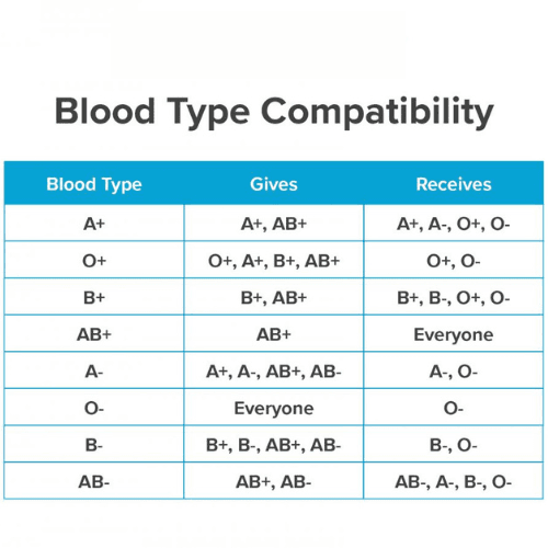 Blood Compatibility